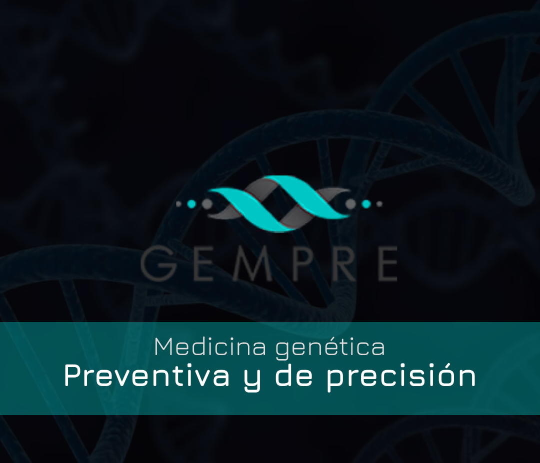 Vista previa del sitio web Gempre